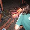 bild037