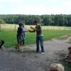 bild041